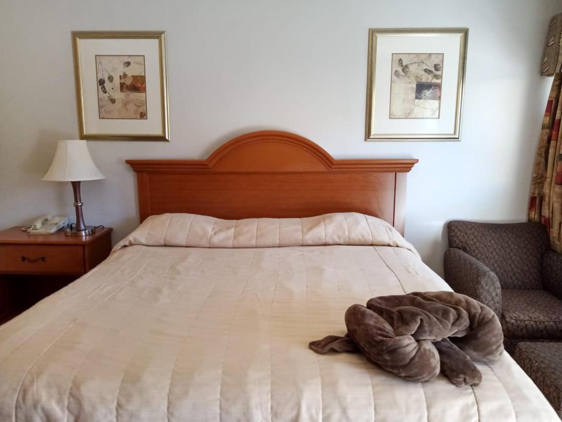 Hotel Posada Del Desierto Heroica Caborca Extérieur photo